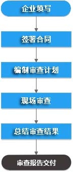 模拟飞检服务流程