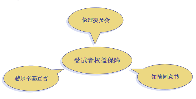 从保障受试者权益的角度严格审议试验方案