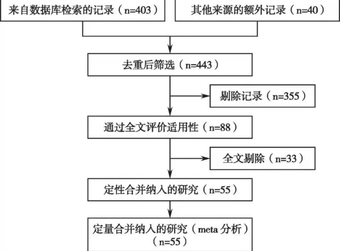 文献检索和筛选过程的流程图